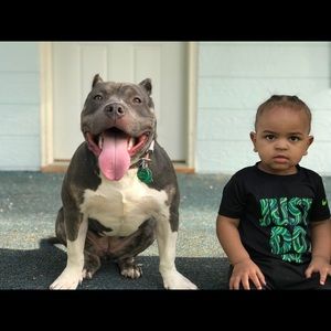 Meet your Posher, Ty